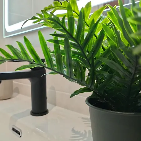 Verdemare * كوراليهو